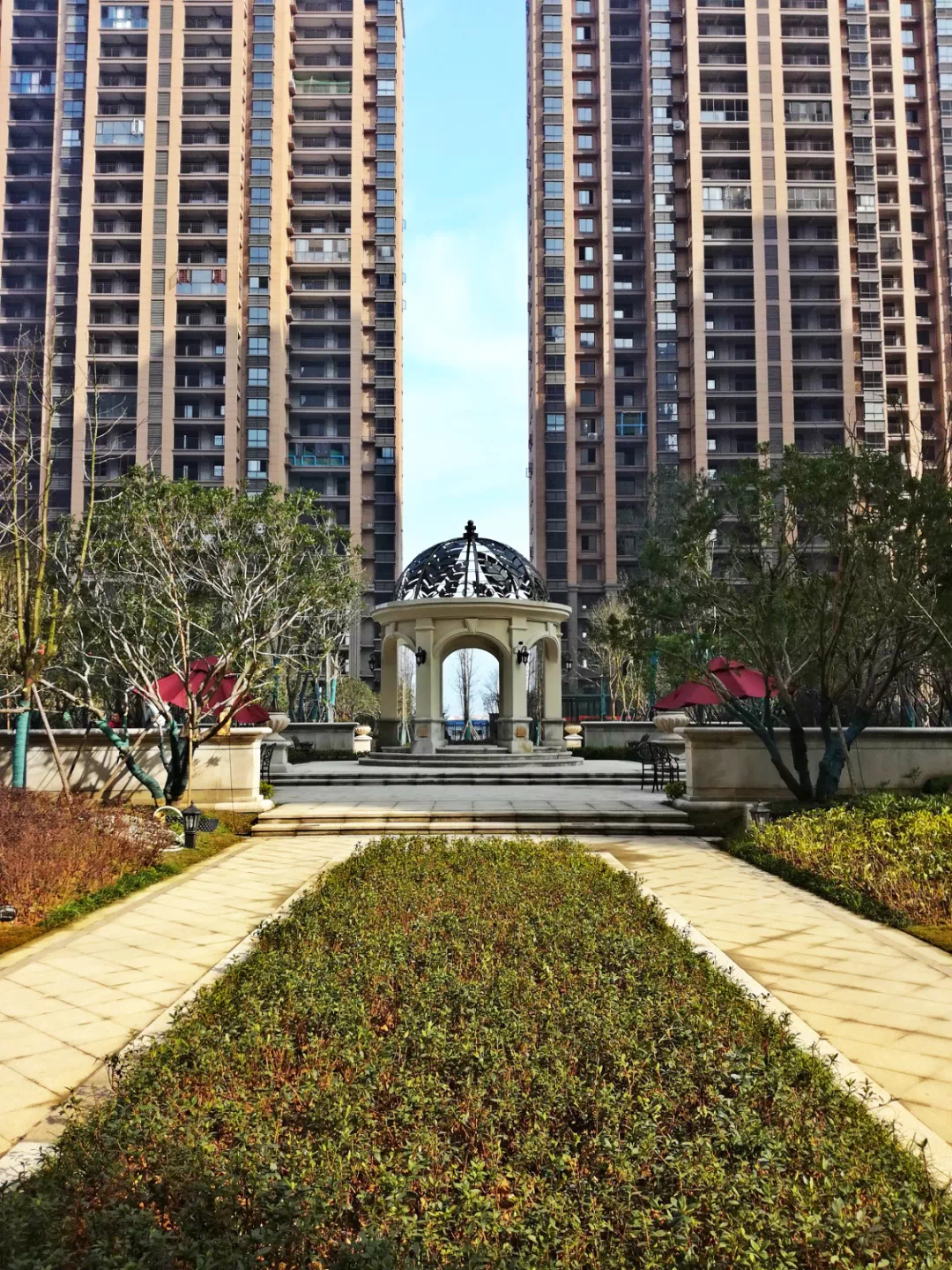 罗马市长宣布启动新的城市绿化计划，将在市内种植百万颗树木的简单介绍