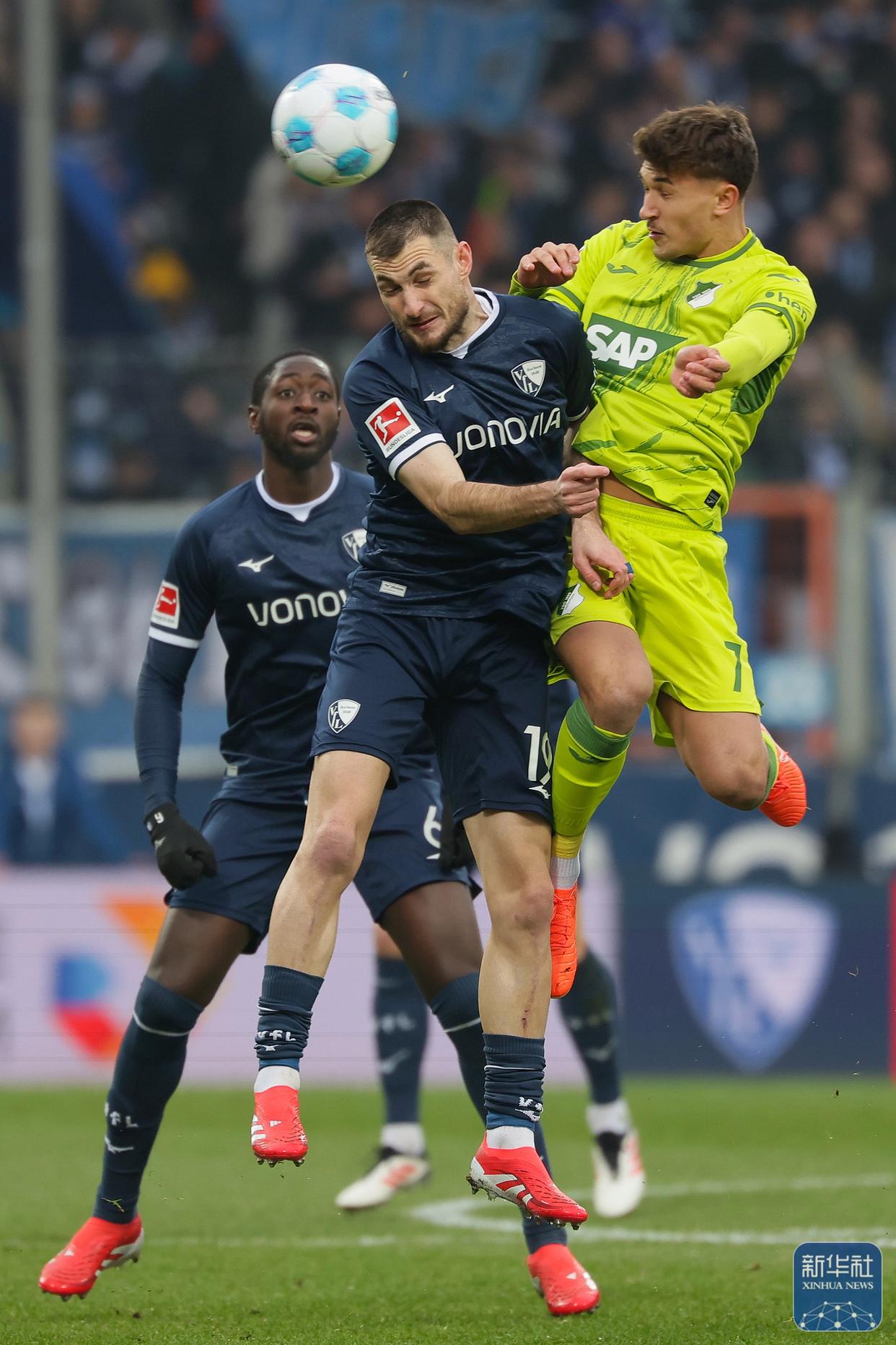 包含霍芬海姆击败对手，展现出稳固的防守体系的词条